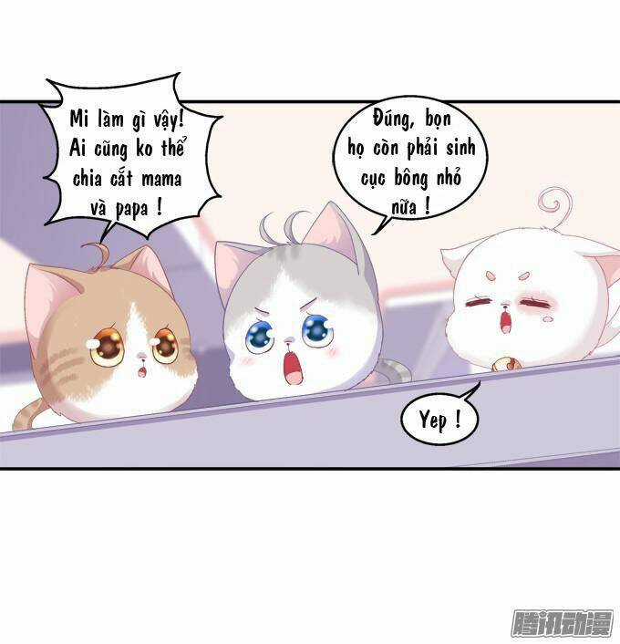 Dụ Hoặc Miêu Yêu - Chapter 42 - Trang 32