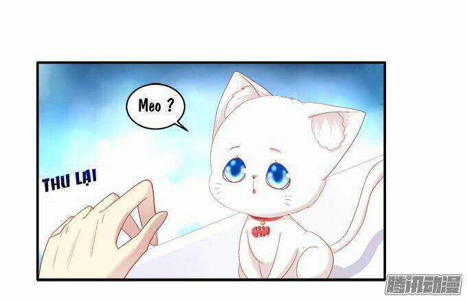 Dụ Hoặc Miêu Yêu - Chapter 43 - Trang 11