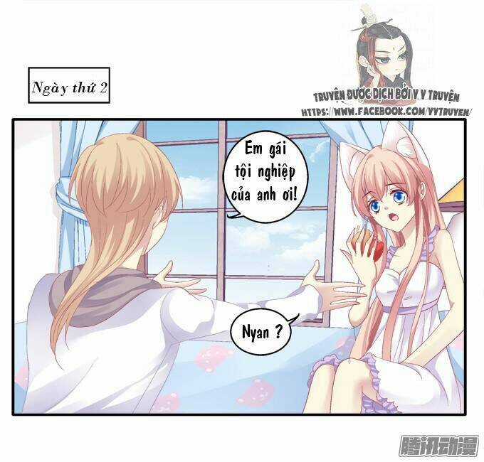 Dụ Hoặc Miêu Yêu - Chapter 43 - Trang 24