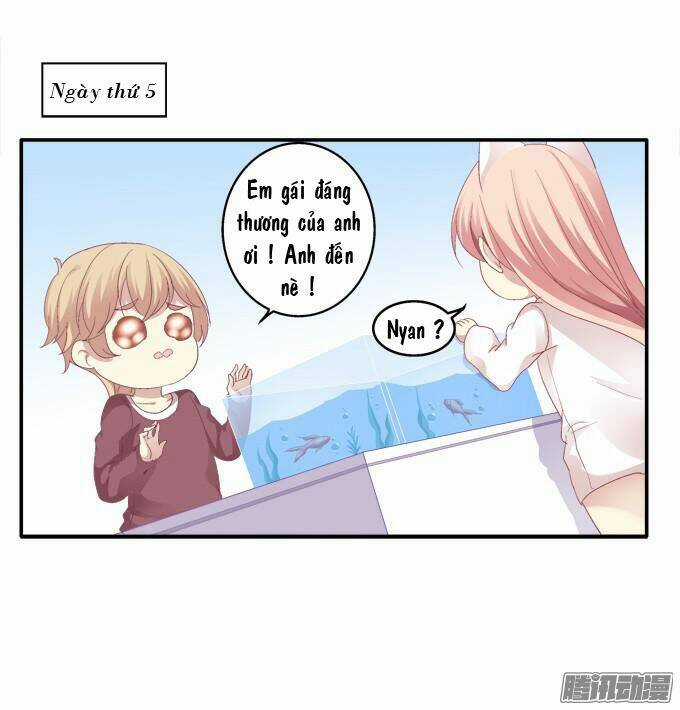 Dụ Hoặc Miêu Yêu - Chapter 43 - Trang 25