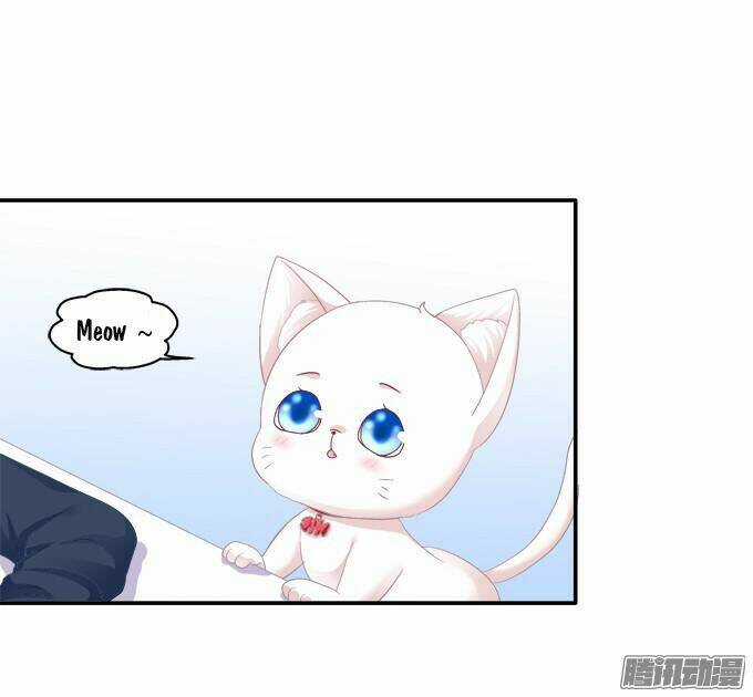 Dụ Hoặc Miêu Yêu - Chapter 43 - Trang 4