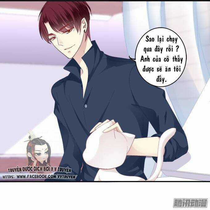 Dụ Hoặc Miêu Yêu - Chapter 43 - Trang 6