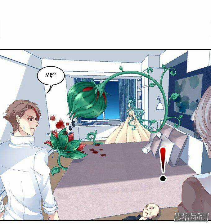 Dụ Hoặc Miêu Yêu - Chapter 49 - Trang 33