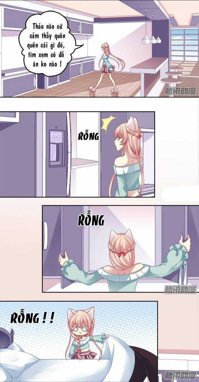 Dụ Hoặc Miêu Yêu - Chapter 5 - Trang 16