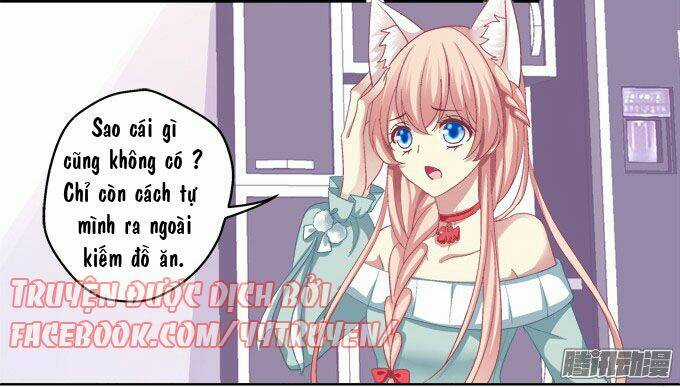 Dụ Hoặc Miêu Yêu - Chapter 5 - Trang 17
