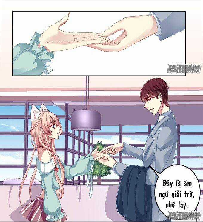 Dụ Hoặc Miêu Yêu - Chapter 5 - Trang 9