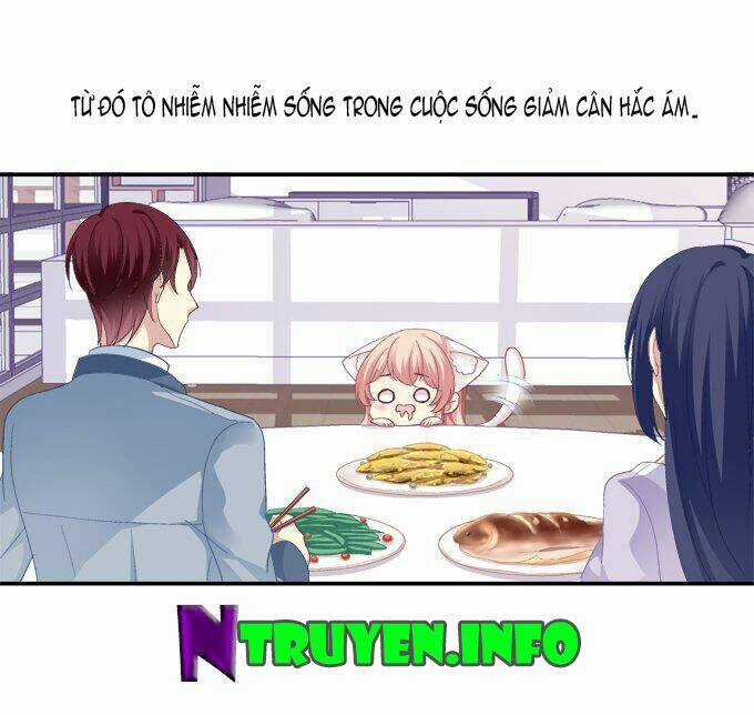 Dụ Hoặc Miêu Yêu - Chapter 51.5 - Trang 15