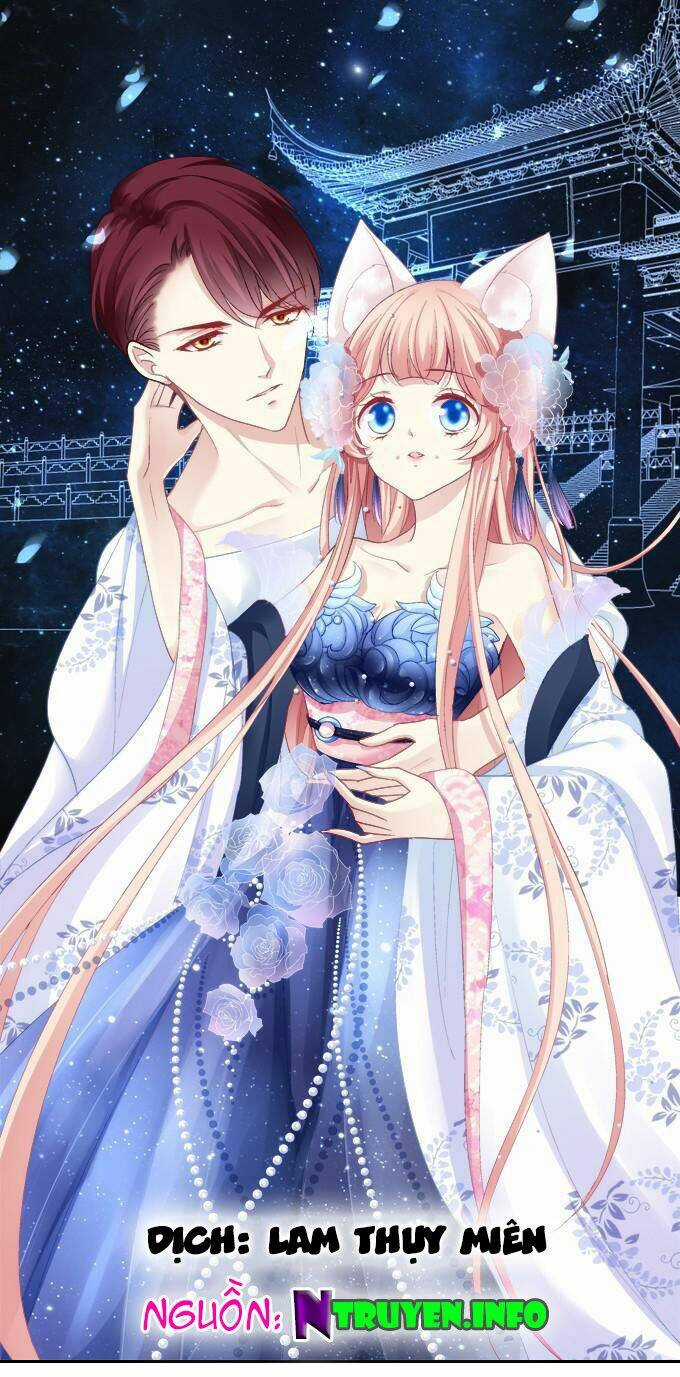 Dụ Hoặc Miêu Yêu - Chapter 51 - Trang 1