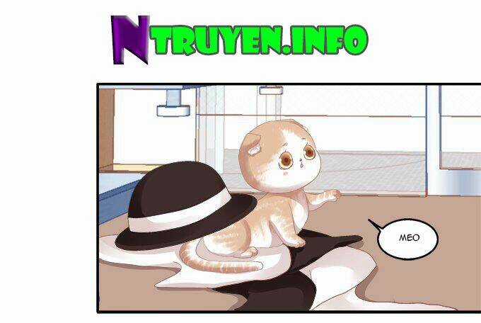 Dụ Hoặc Miêu Yêu - Chapter 52 - Trang 42