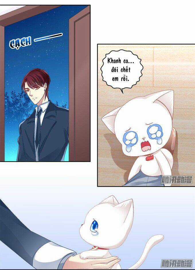 Dụ Hoặc Miêu Yêu - Chapter 6 - Trang 12