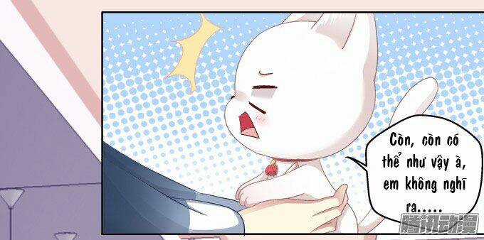 Dụ Hoặc Miêu Yêu - Chapter 6 - Trang 17