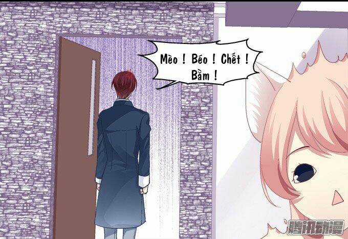 Dụ Hoặc Miêu Yêu - Chapter 6 - Trang 21