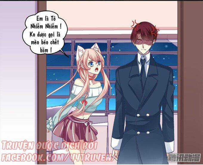 Dụ Hoặc Miêu Yêu - Chapter 6 - Trang 22
