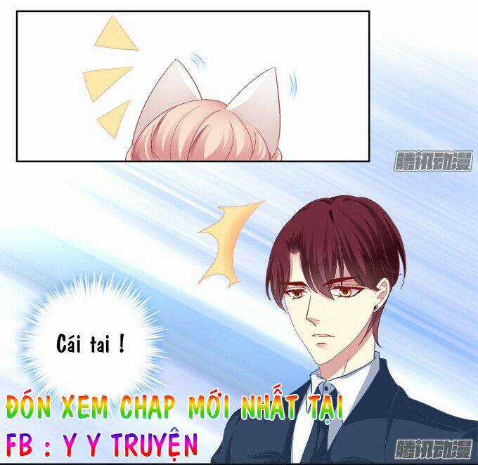 Dụ Hoặc Miêu Yêu - Chapter 6 - Trang 34