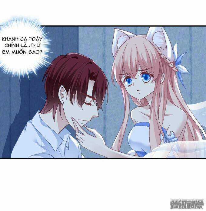 Dụ Hoặc Miêu Yêu - Chapter 60 - Trang 33