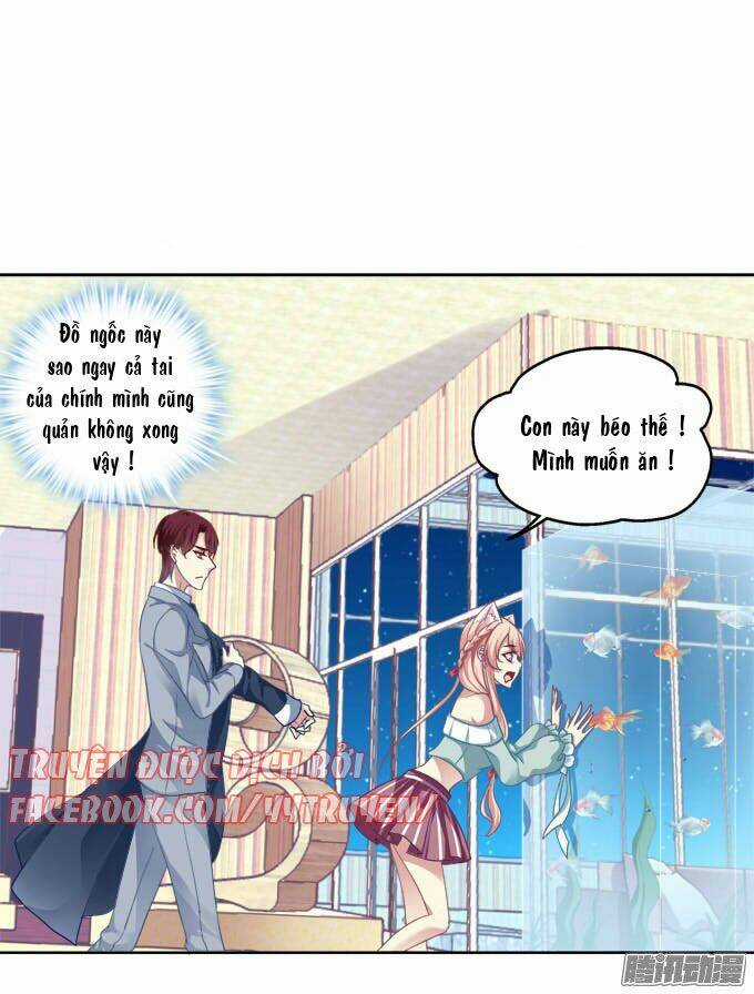Dụ Hoặc Miêu Yêu - Chapter 7 - Trang 2