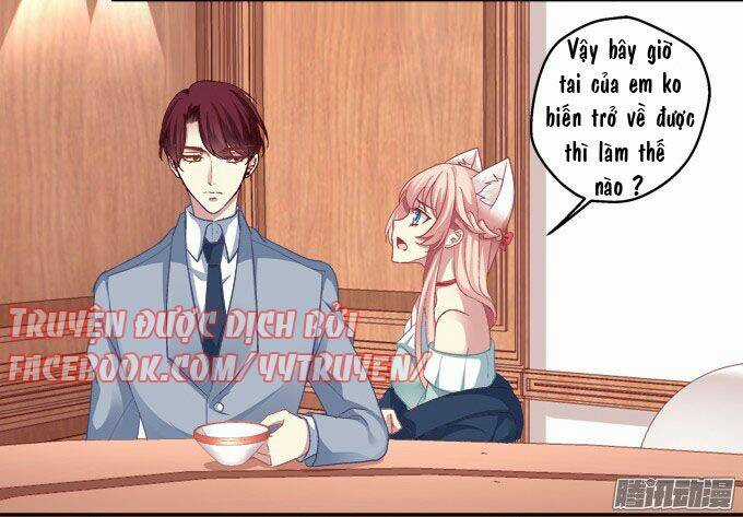 Dụ Hoặc Miêu Yêu - Chapter 7 - Trang 15