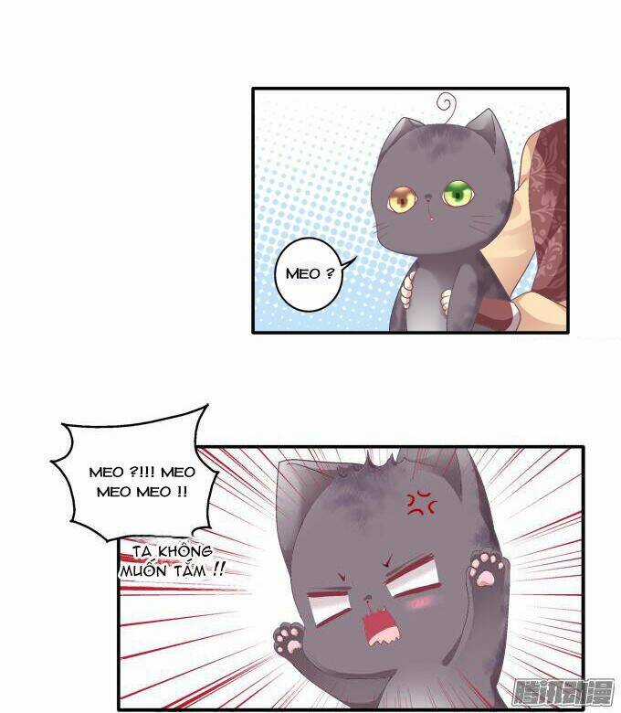 Dụ Hoặc Miêu Yêu - Chapter 80 - Trang 14