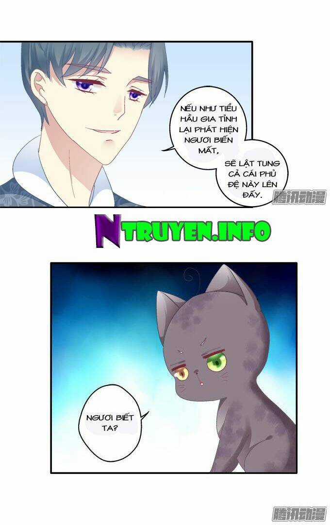 Dụ Hoặc Miêu Yêu - Chapter 80 - Trang 20