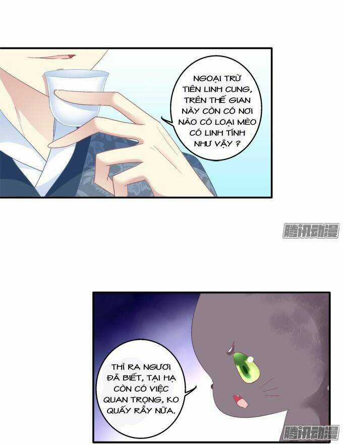 Dụ Hoặc Miêu Yêu - Chapter 80 - Trang 21