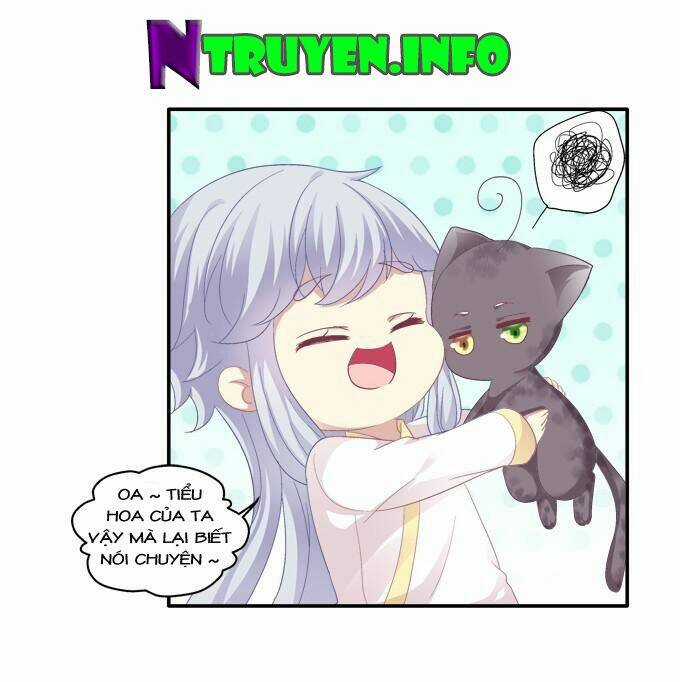 Dụ Hoặc Miêu Yêu - Chapter 80 - Trang 24