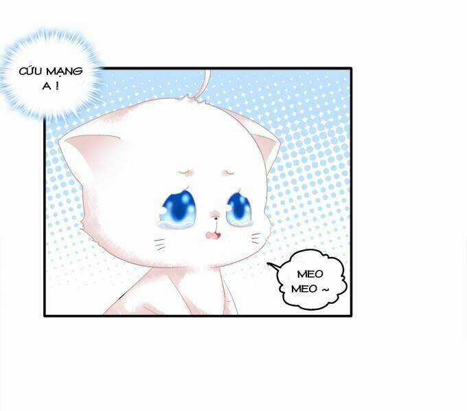 Dụ Hoặc Miêu Yêu - Chapter 80 - Trang 33