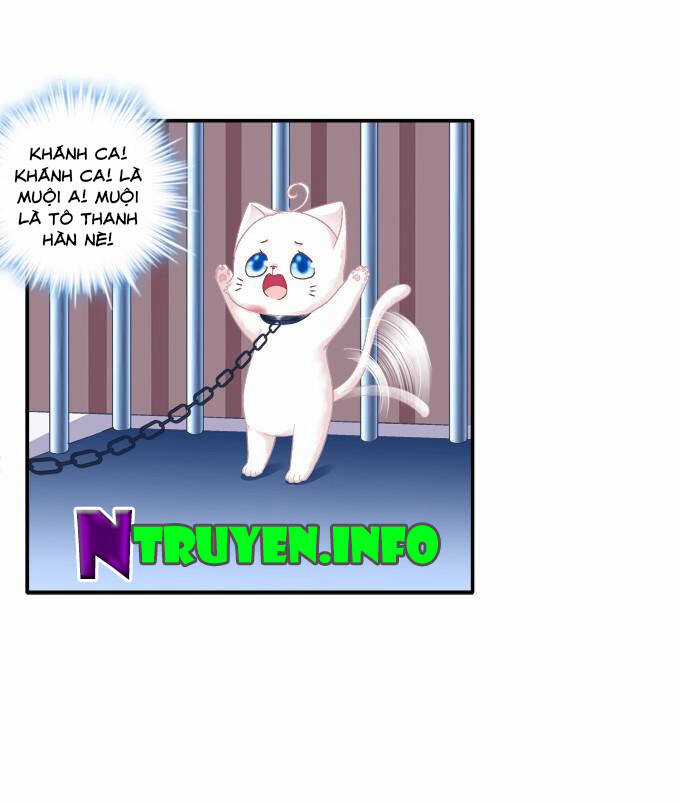 Dụ Hoặc Miêu Yêu - Chapter 82 - Trang 12