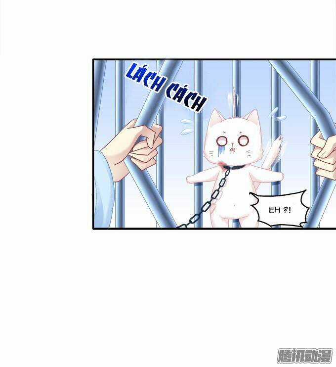 Dụ Hoặc Miêu Yêu - Chapter 82 - Trang 17