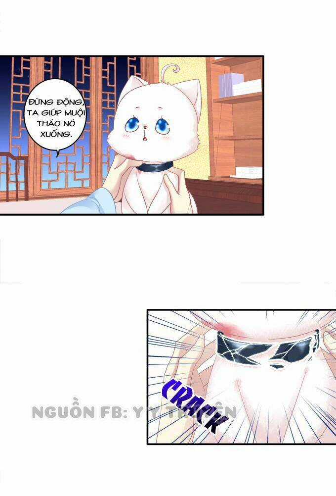 Dụ Hoặc Miêu Yêu - Chapter 83 - Trang 7