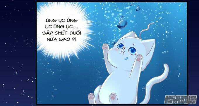 Dụ Hoặc Miêu Yêu - Chapter 84 - Trang 35