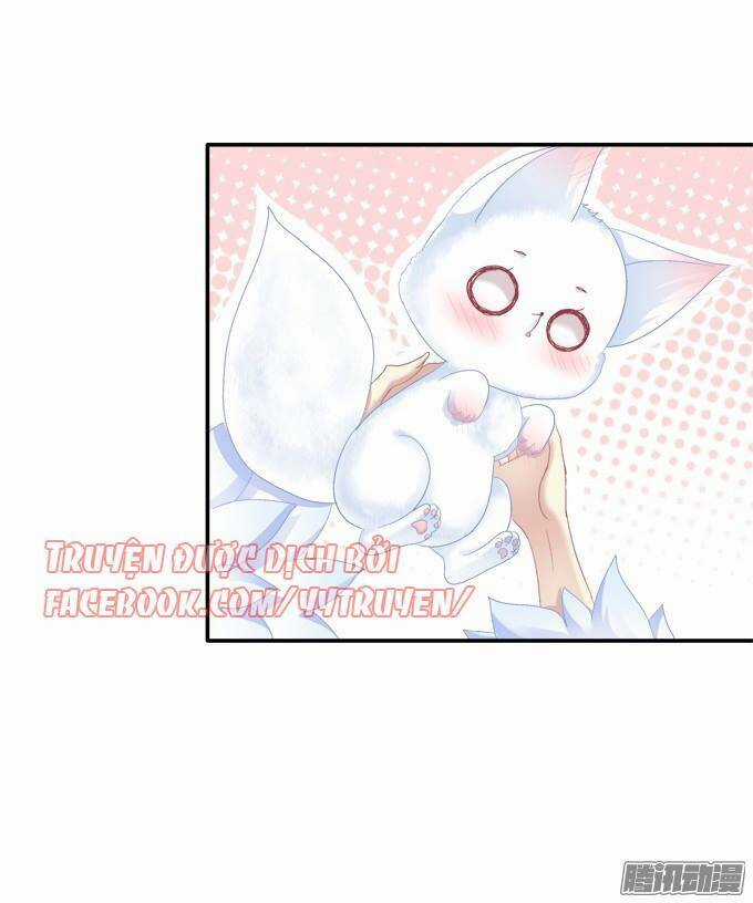 Dụ Hoặc Miêu Yêu - Chapter 96 - Trang 15