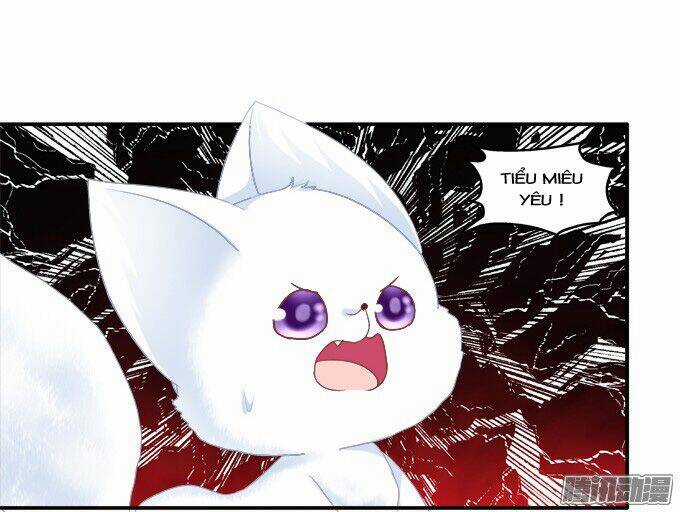 Dụ Hoặc Miêu Yêu - Chapter 97 - Trang 22