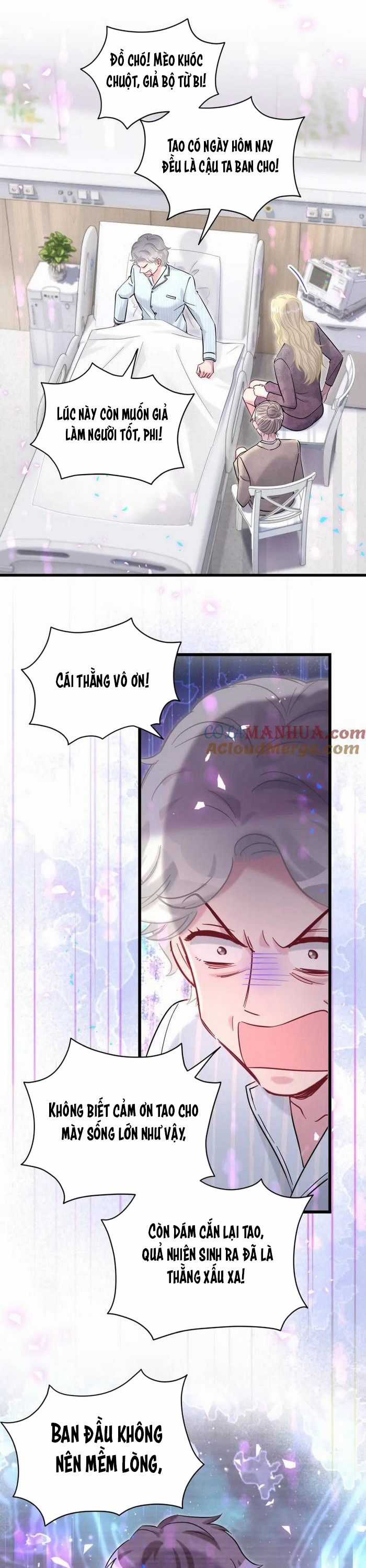 Đứa Bé Là Của Ai ???? - Chapter 217 - Trang 4