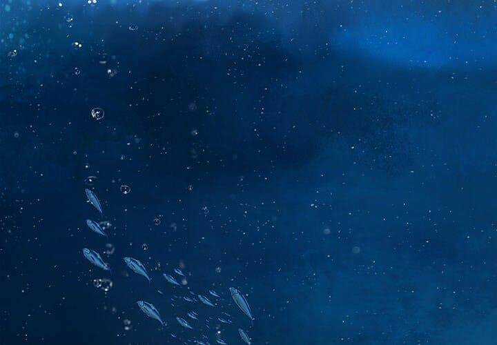 Đứa Con Thần Chết - Chapter 140 - Trang 4