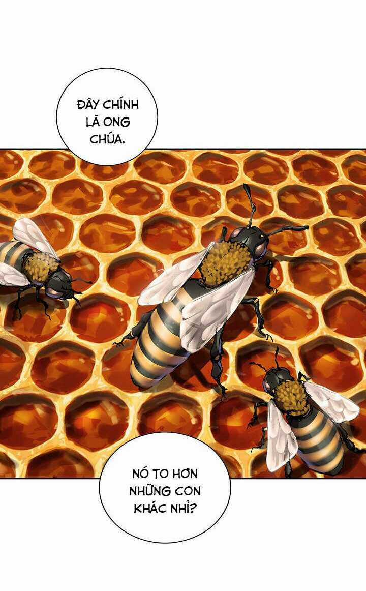 Đứa Con Thần Chết - Chapter 141 - Trang 35