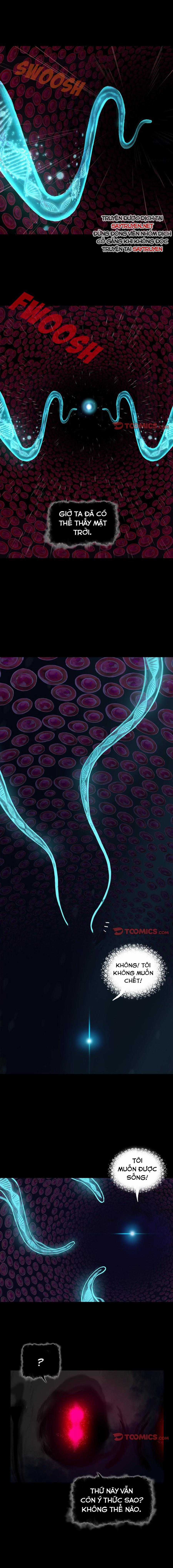 Đứa Con Thần Chết - Chapter 175 - Trang 4