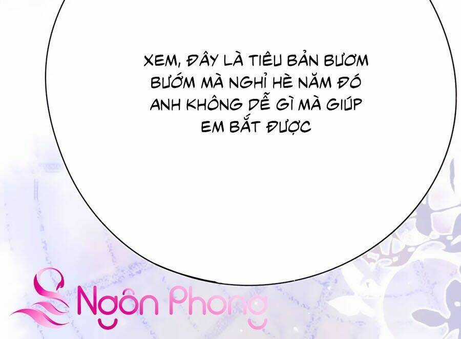 Đưa Em Đi Chơi - Chapter 37 - Trang 41