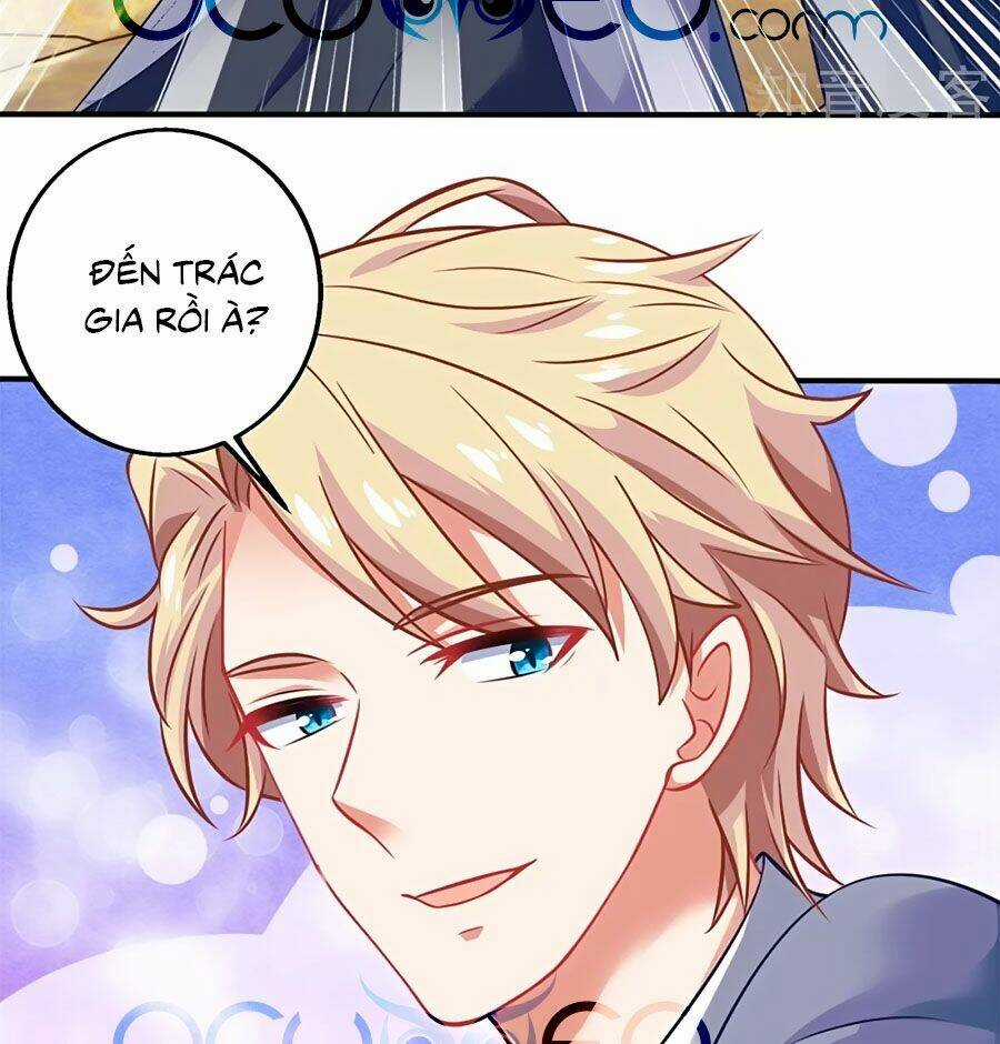 Đưa Mami Về Nhà - Chapter 229 - Trang 3