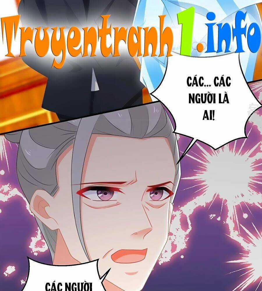 Đưa Mami Về Nhà - Chapter 248 - Trang 4