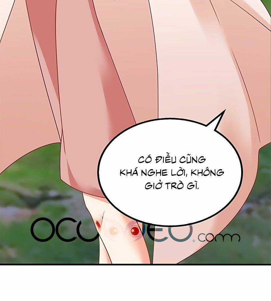 Đưa Mami Về Nhà - Chapter 277 - Trang 8