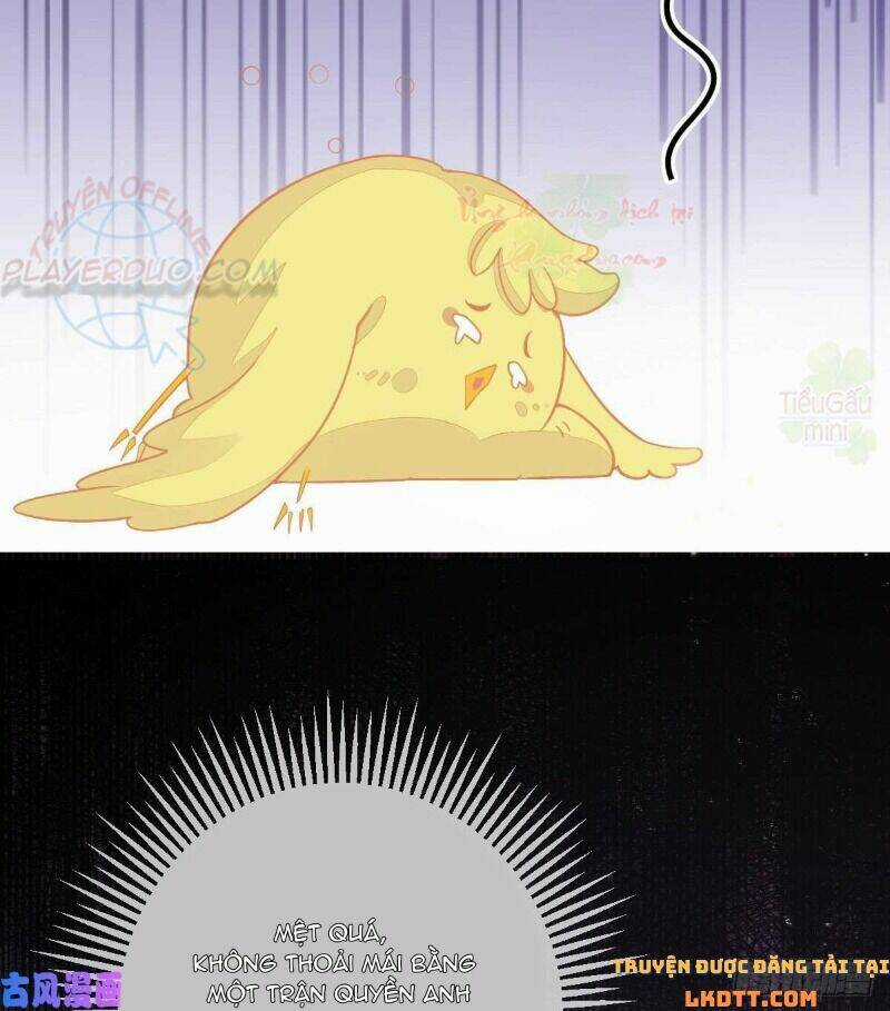 Đứa Trẻ Có 5 Daddy - Chapter 2 - Trang 20