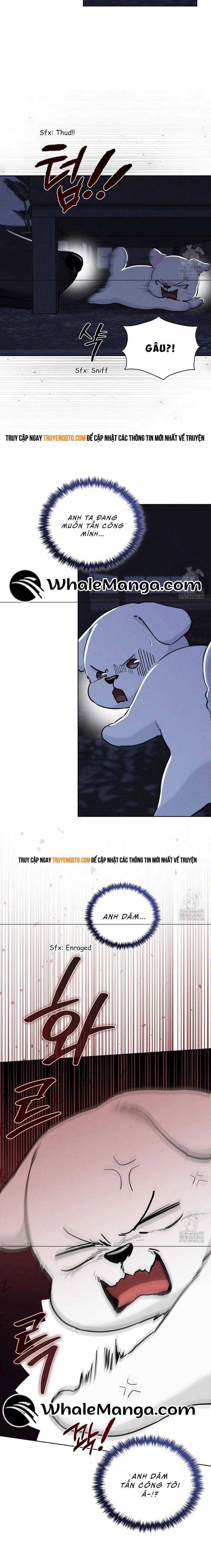 Đừng Đùa Với Cún Con - Chương 19 - Trang 11