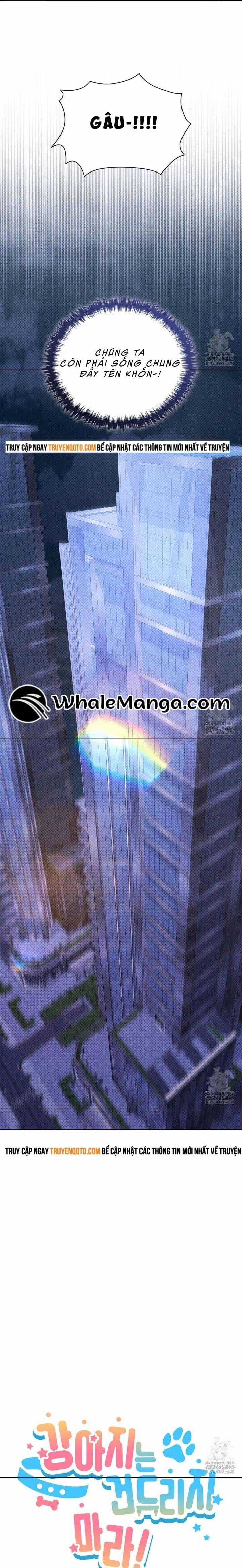 Đừng Đùa Với Cún Con - Chương 19 - Trang 12