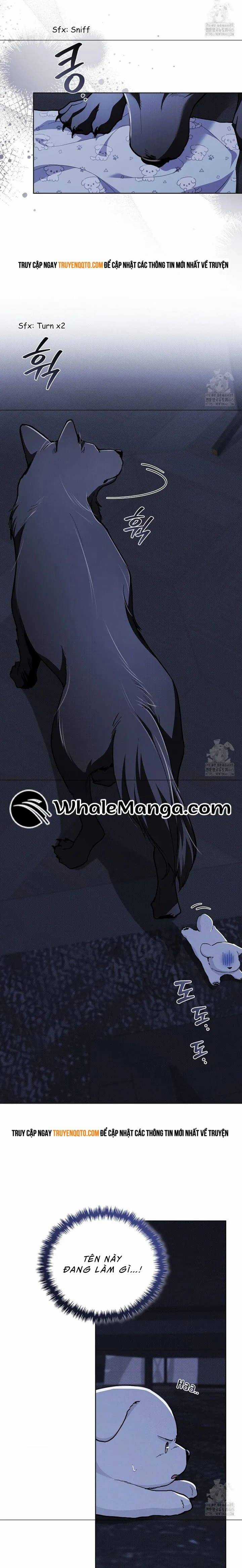 Đừng Đùa Với Cún Con - Chương 19 - Trang 10