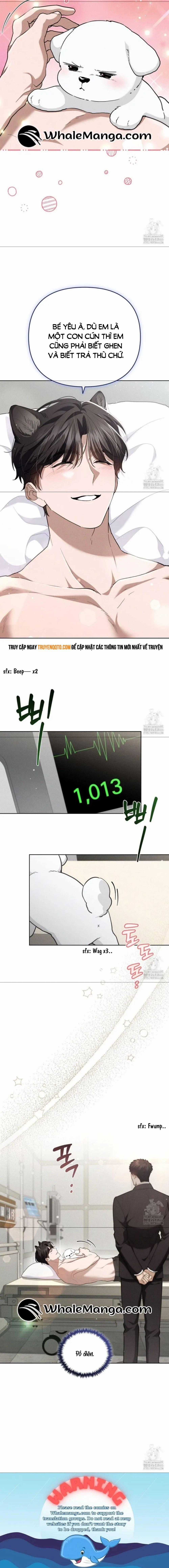 Đừng Đùa Với Cún Con - Chương 21 - Trang 8