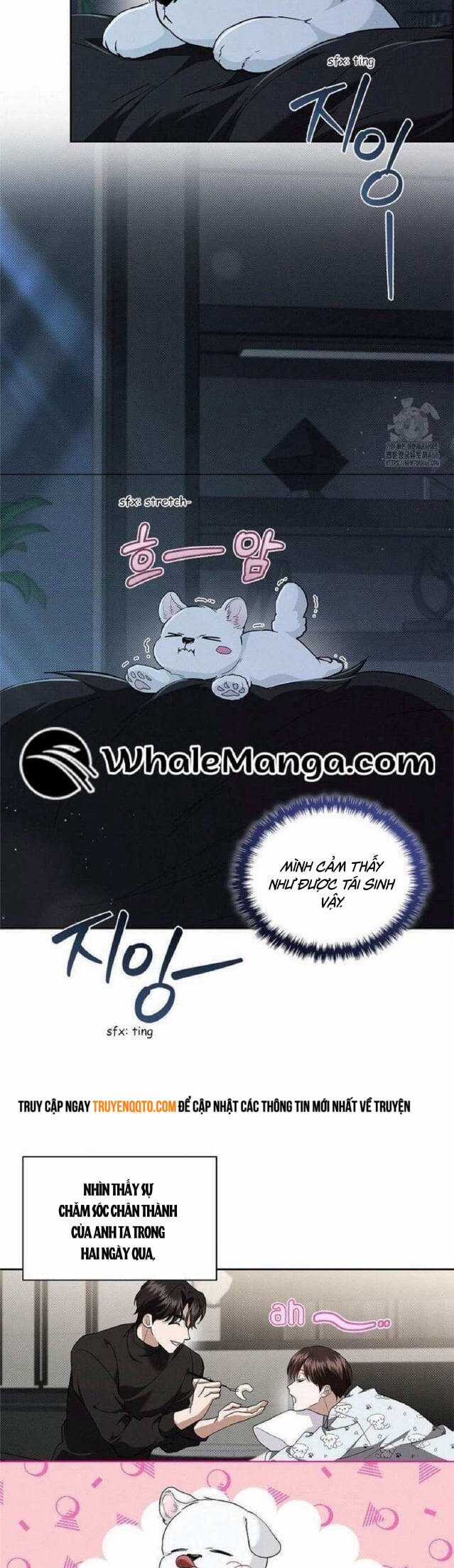 Đừng Đùa Với Cún Con - Chương 27 - Trang 11