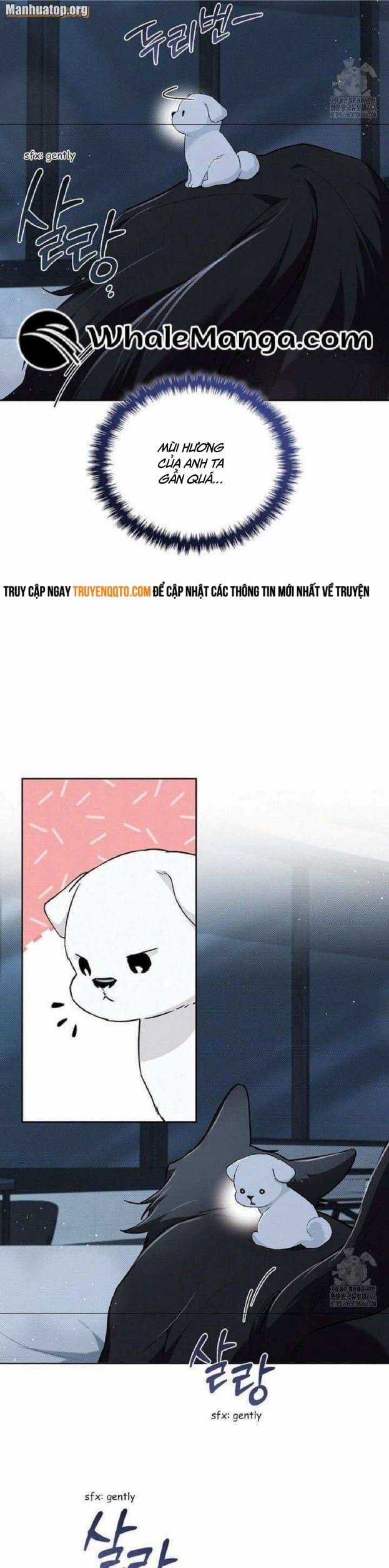 Đừng Đùa Với Cún Con - Chương 27 - Trang 13