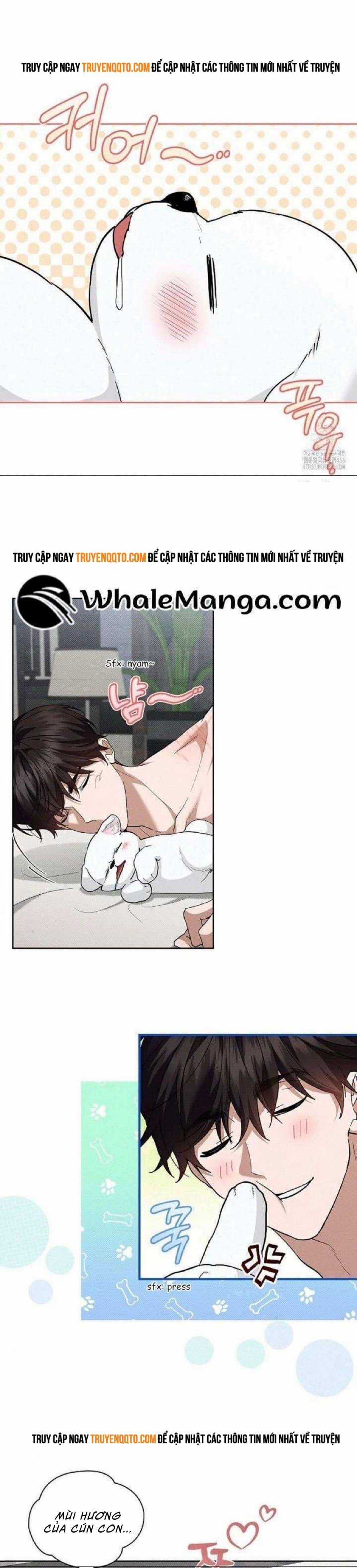 Đừng Đùa Với Cún Con - Chương 27 - Trang 5