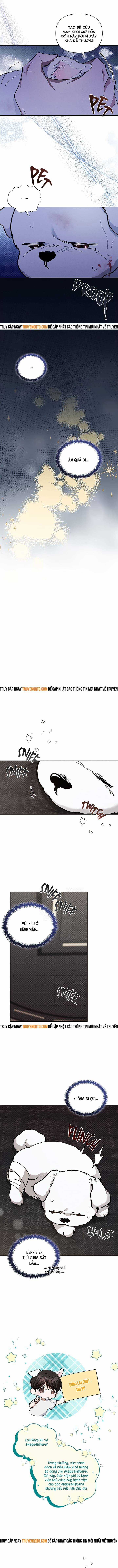 Đừng Đùa Với Cún Con - Chương 3 - Trang 17