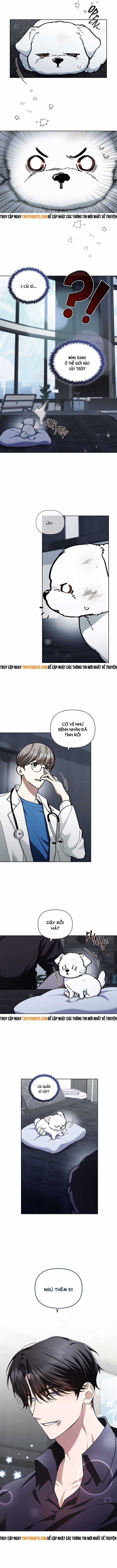 Đừng Đùa Với Cún Con - Chương 3 - Trang 18